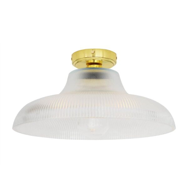 Flush holophane ceiling light